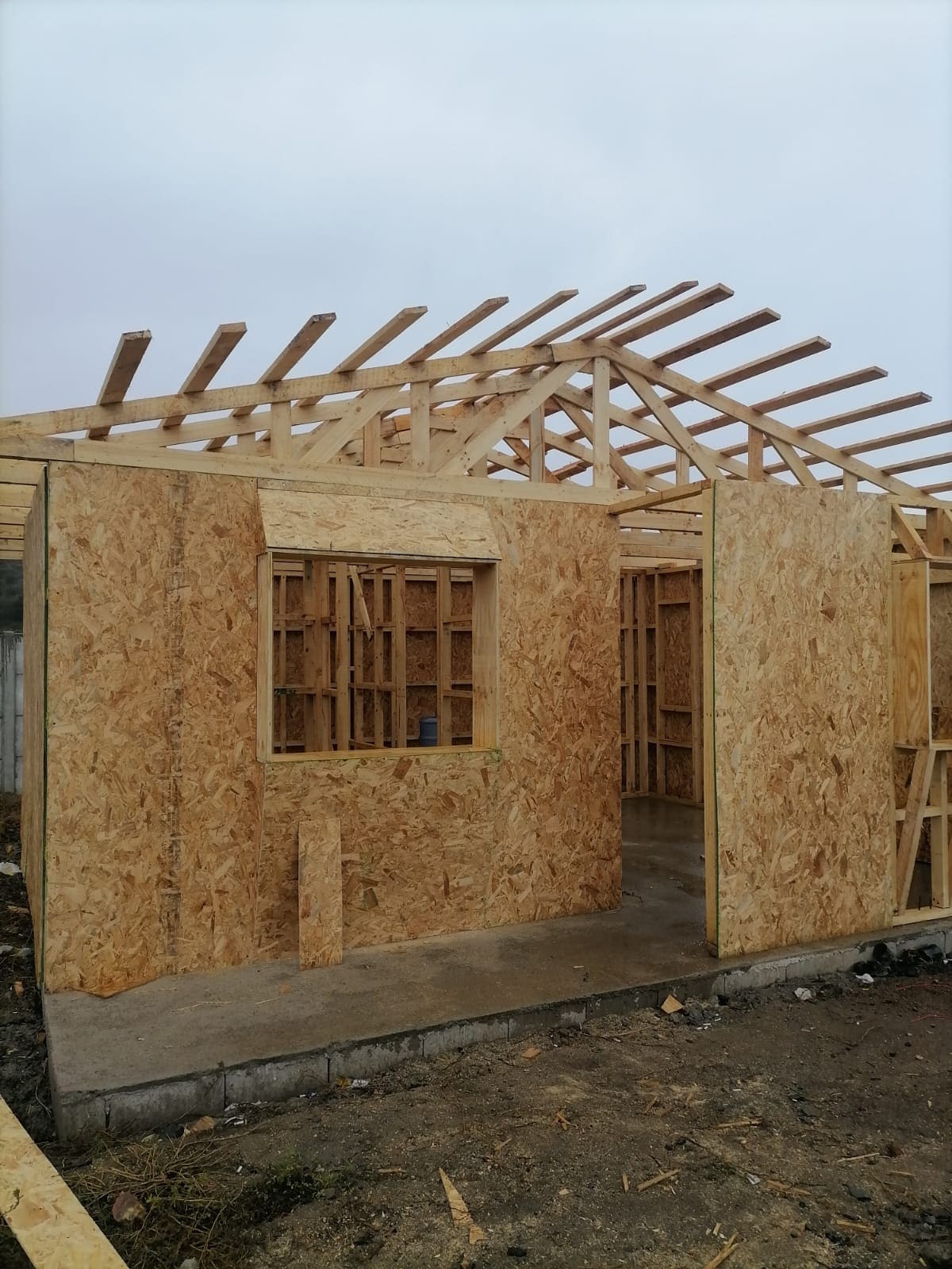 Interior de vivienda en madera mostrando entramado de cerchas y costaneras